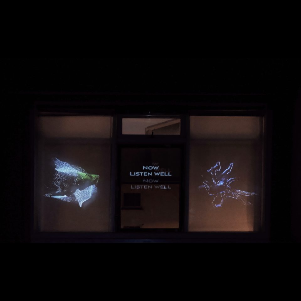Sarah Song Drifting Consciousness artwork for HoloCenter Light Windows in Iceland 