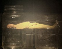 Mary Harman, Shelf Life