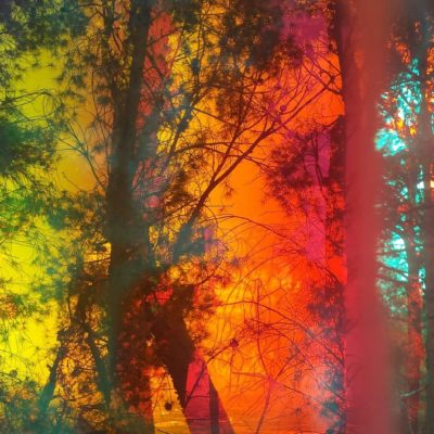 SpaceCircles, Event Horizon image through optical sculture onto trees