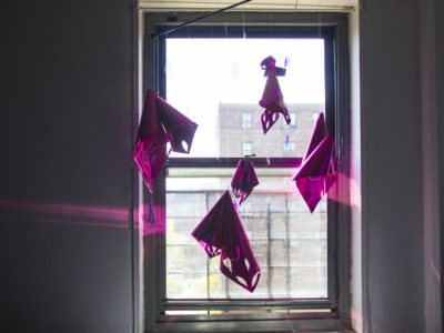 Mollie Serena Floralumin Light Windows installation