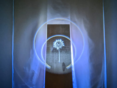 Jonathan Sims A Song Against Sickness artwork in the windows of Flux Factory for HoloCenter LightWindows