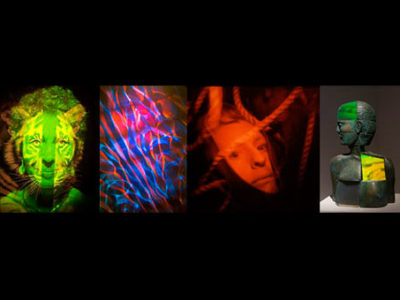 Image of four holograms by artists Margaret Benyon, Rudie Berkhout; Ana Maria Nicholson and Dan Schwitzer