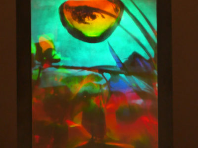 Sam Moree Gaugin's Eyepiece, 1980 multi-layered transmission hologram, 10 x 8” photograph of hologram that show overlaied botanic imagery