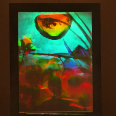 Sam Moree Gaugin's Eyepiece, 1980 multi-layered transmission hologram, 10 x 8” photograph of hologram that show overlaied botanic imagery
