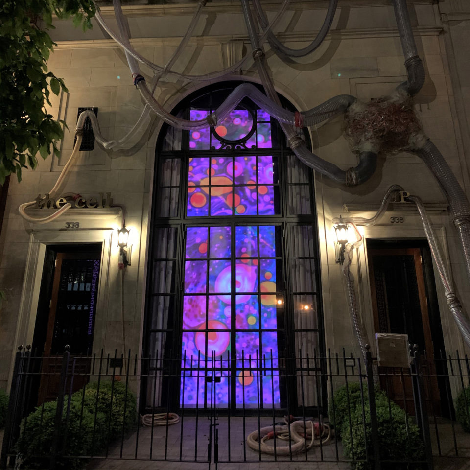 Windowpane Tranquility by Steve Pavlovsky Liquid Light Lab Analog Liquid Light Show at the cell