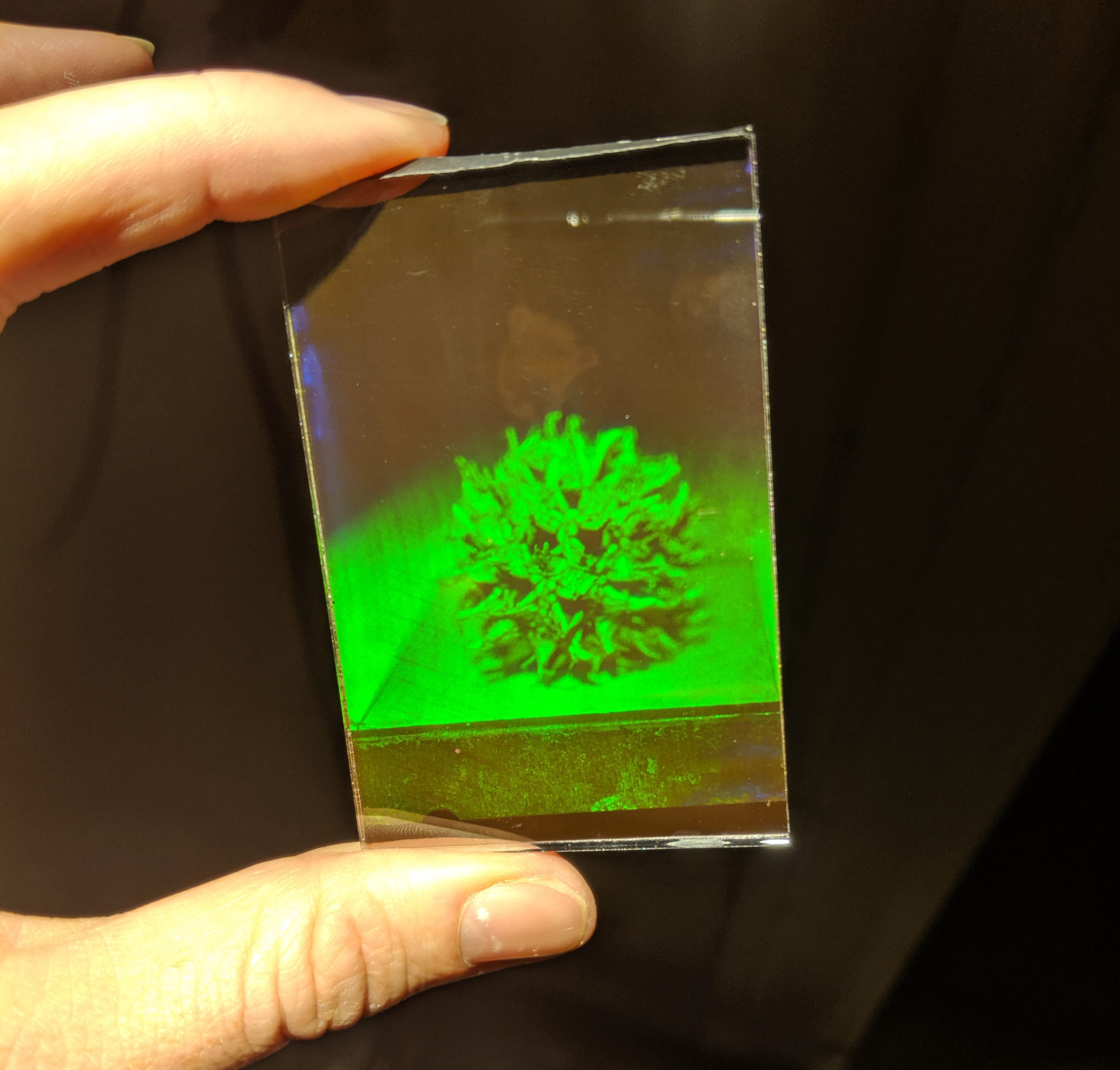 Different Types of Holograms – Holocenter