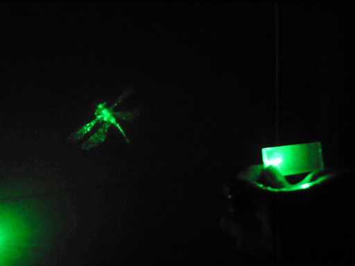 Hover..., 2004