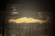 Shelf Life