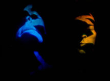 Holographic Collaborations
